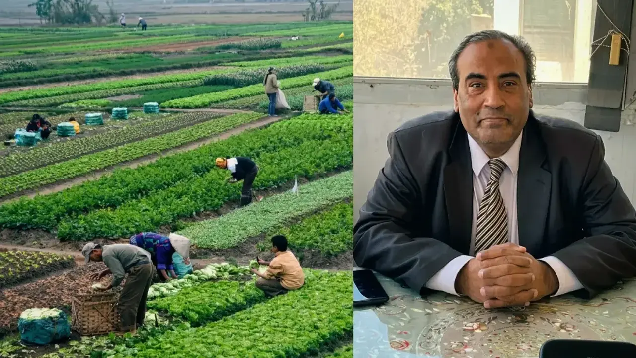 خبراء المناخ يحددون اليوم المثالي لزيادة إنتاج المحاصيل الزراعية بنسبة 100%